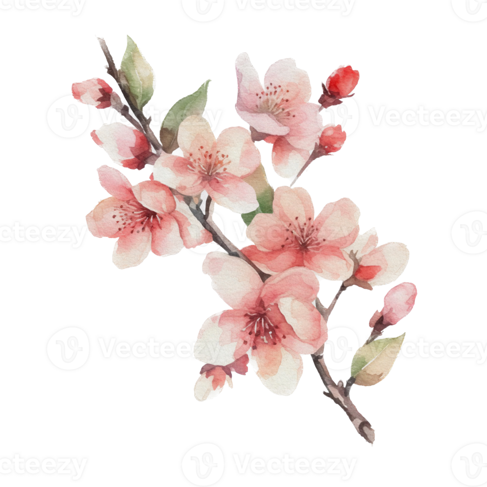 Beautiful flower with leaf watercolor ai generate png