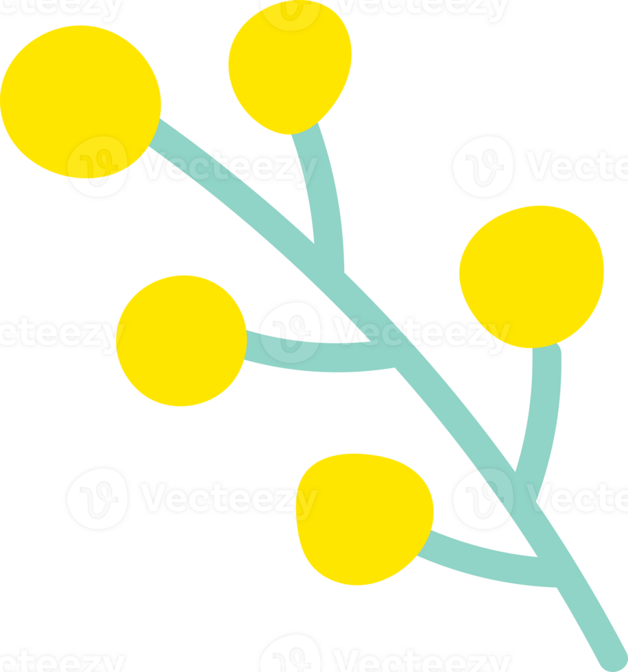 flower blossom colorful png
