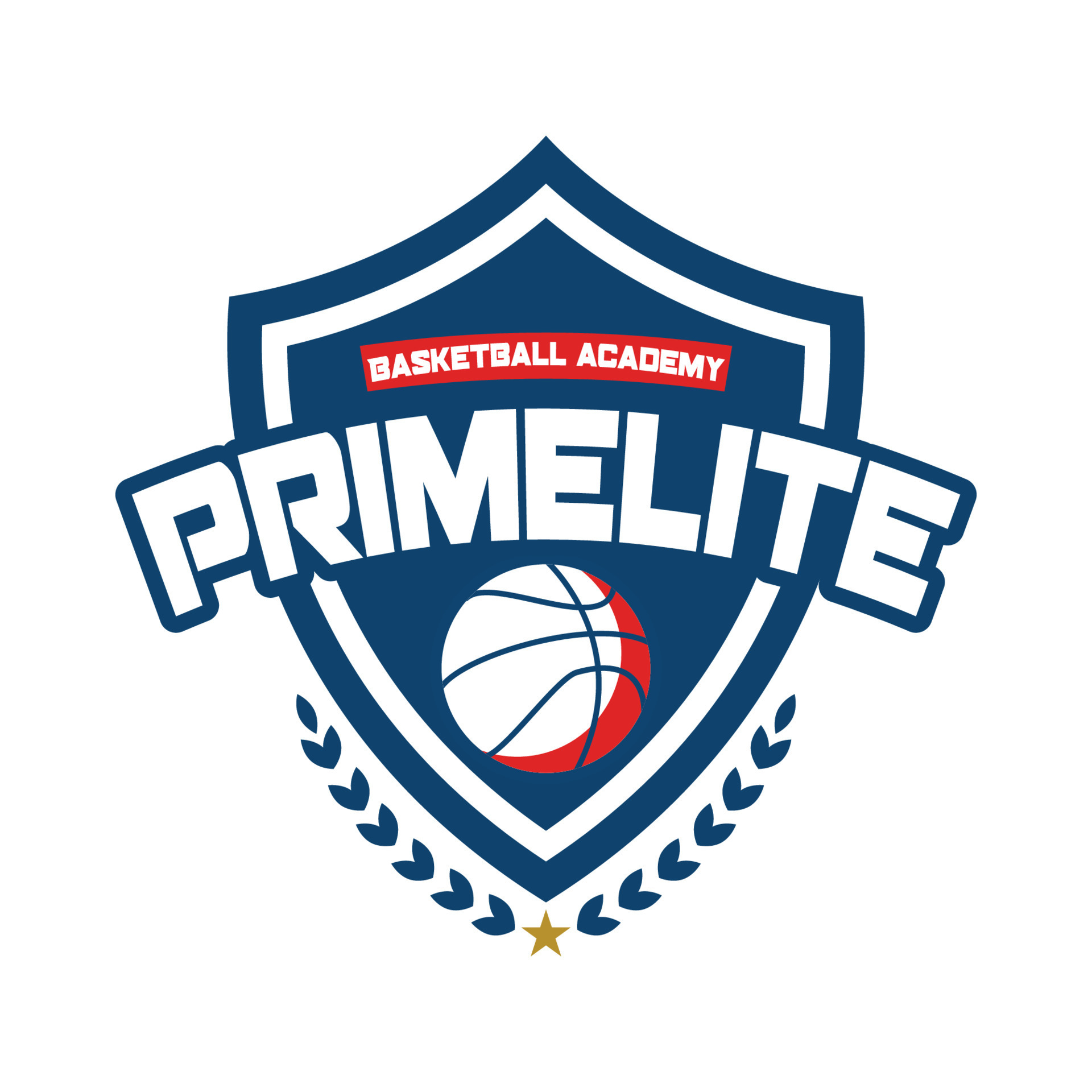 Prime lite Basketball academy sports logo 23392697 Vector Art at Vecteezy