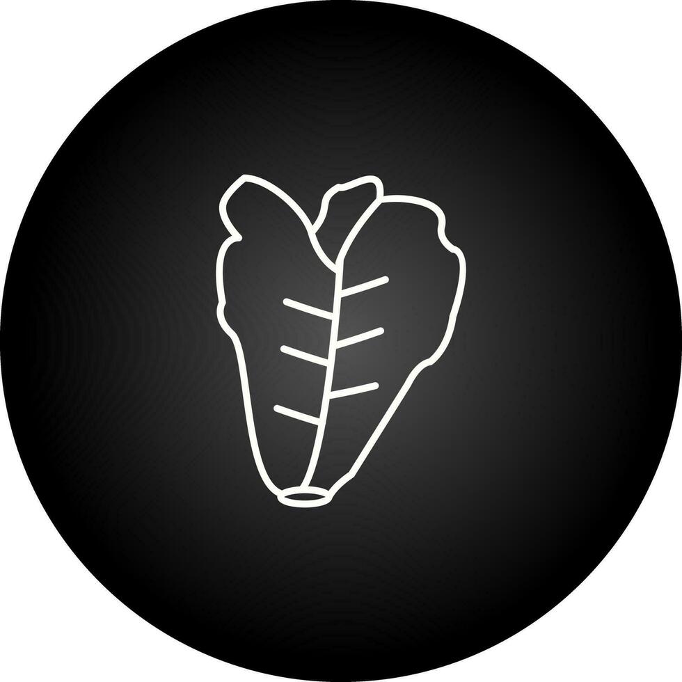 Lettuce Vector Icon