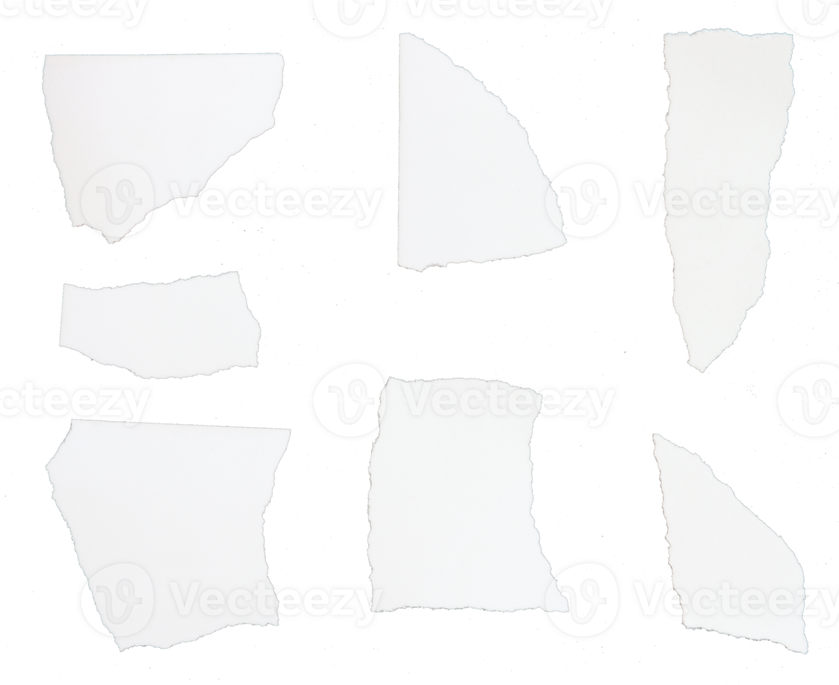 a sheet of paper torn to pieces on transparent background png file