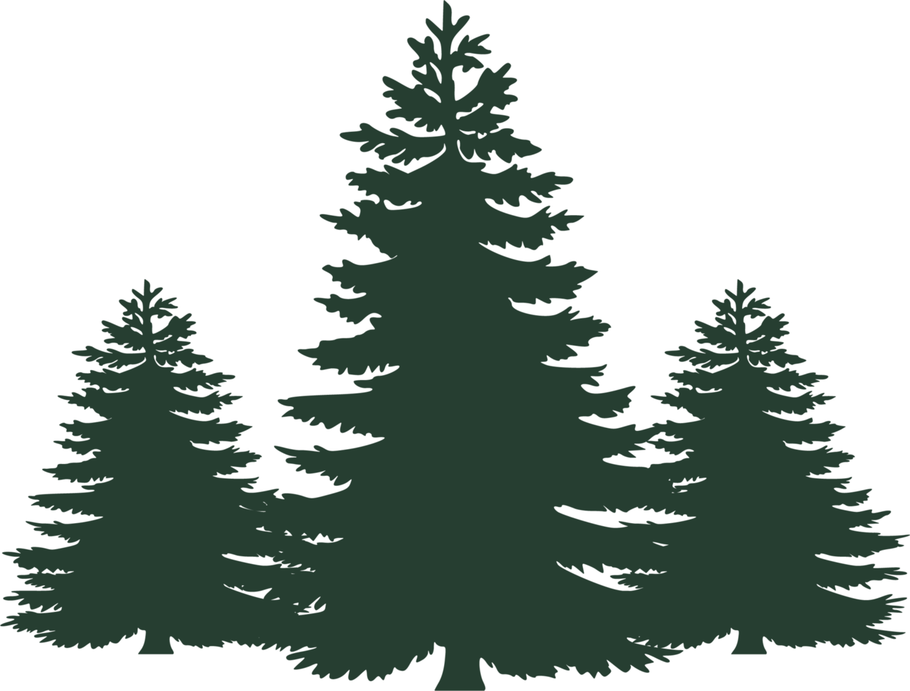 pine trees, Christmas trees, tree graphic, tree png, evergreen png