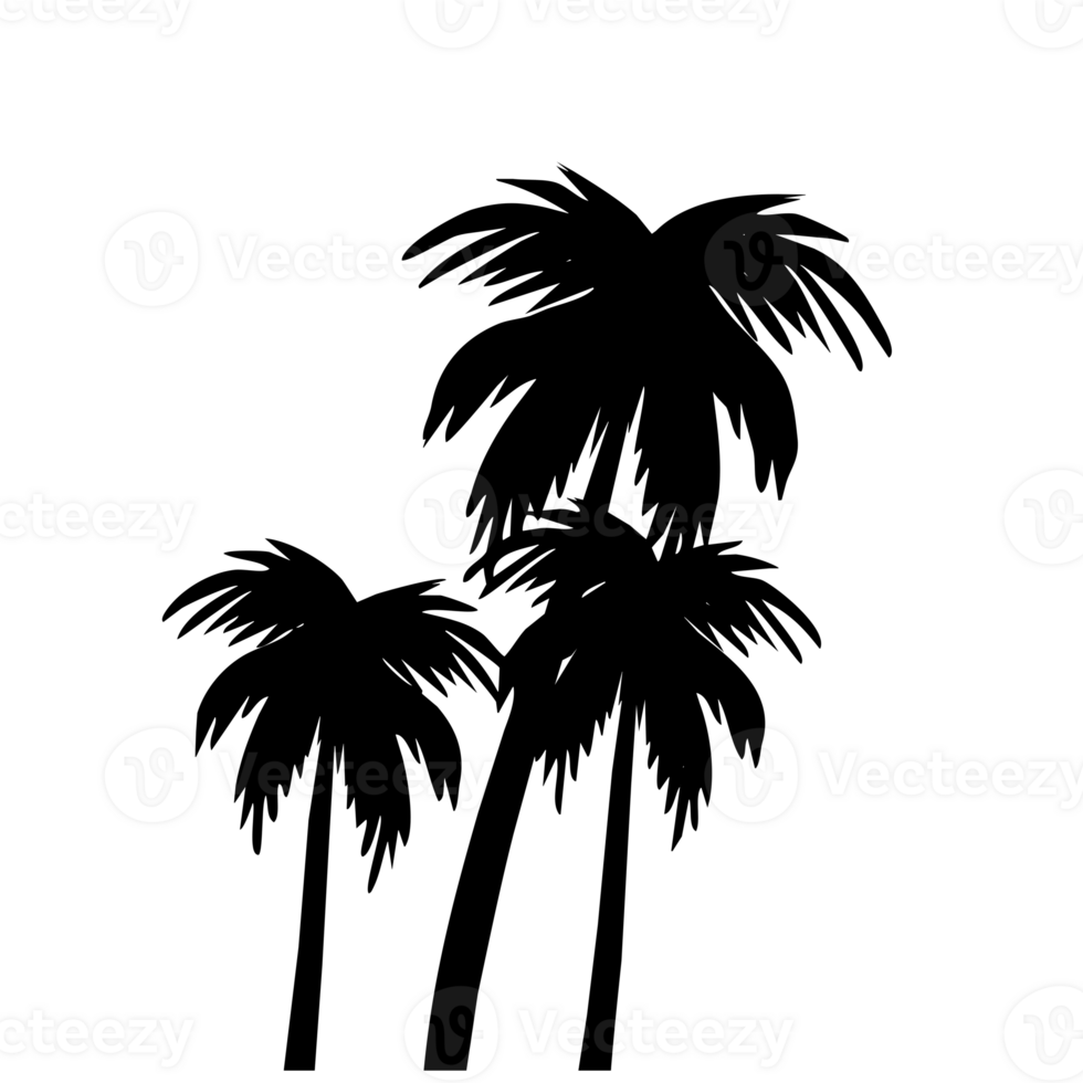 palm trees three 23398079 PNG