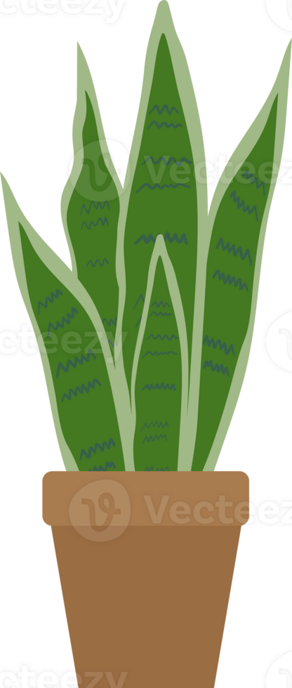 house plant on a pot png