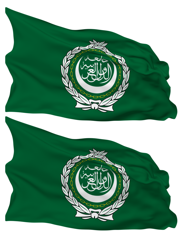 Arab League Flag Waves Isolated in Plain and Bump Texture, with Transparent Background, 3D Rendering png