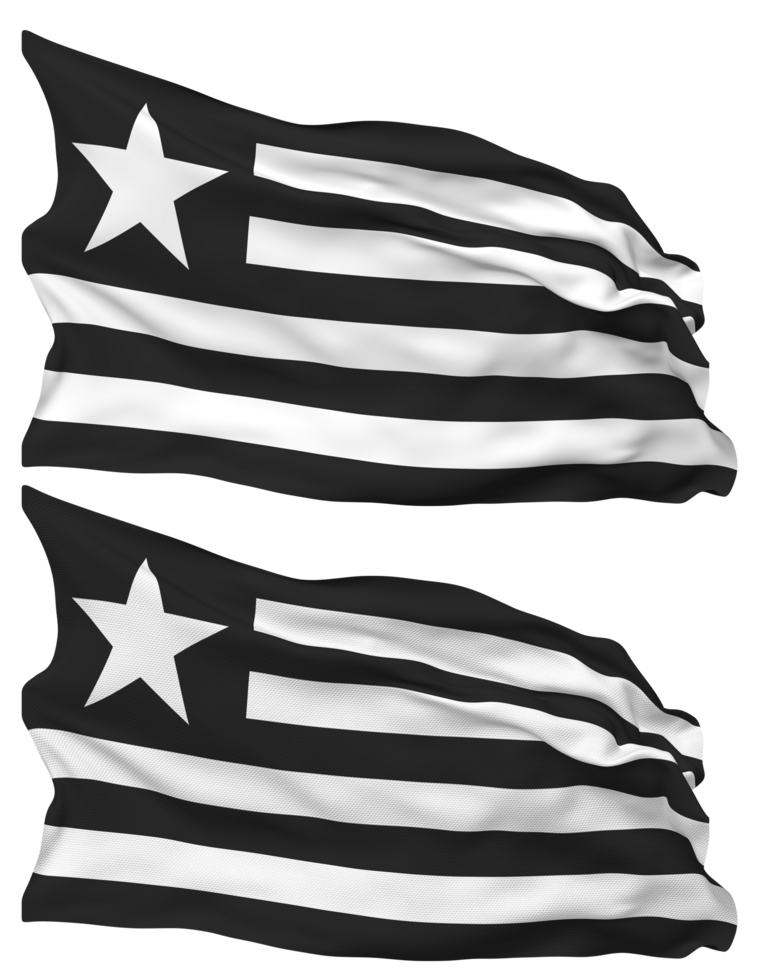 Botafogo de Futebol e Regatas Flag Waves Isolated in Plain and Bump Texture, with Transparent Background, 3D Rendering png