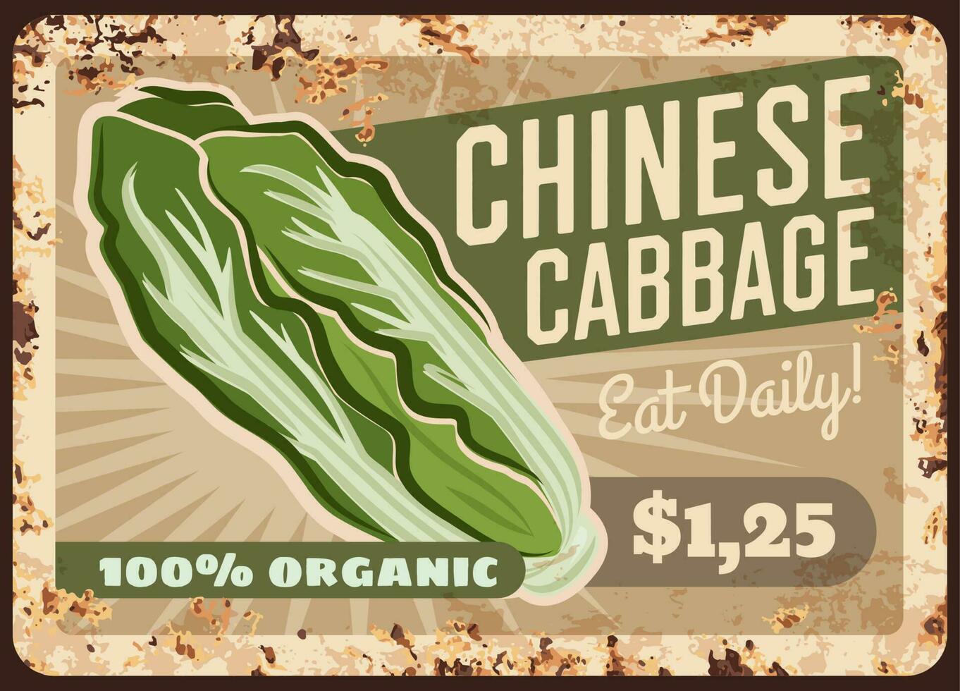 Cabbage Chinese napa rusty metal plate, vegetables vector