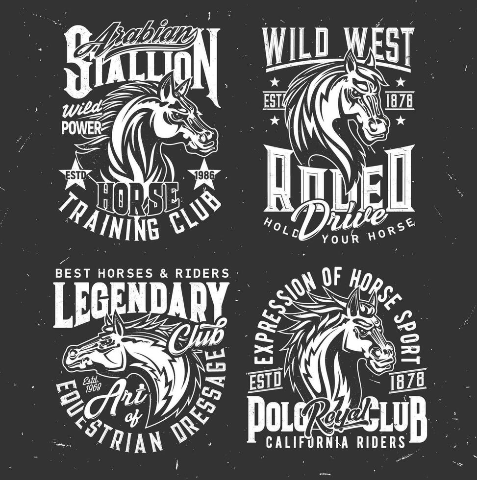 Tshirt prints with horse stallion heads, sport vector