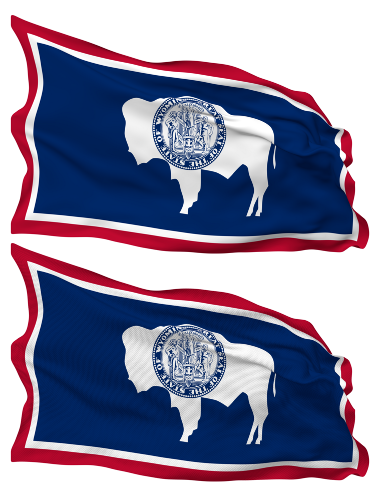 State of Wyoming Flag Waves Isolated in Plain and Bump Texture, with Transparent Background, 3D Rendering png