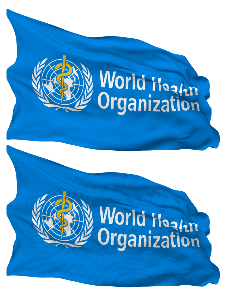 World Health Organization, WHO Flag Waves Isolated in Plain and Bump Texture, with Transparent Background, 3D Rendering png