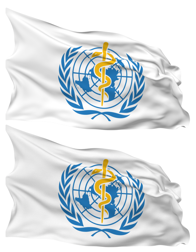 World Health Organization, WHO Flag Waves Isolated in Plain and Bump Texture, with Transparent Background, 3D Rendering png