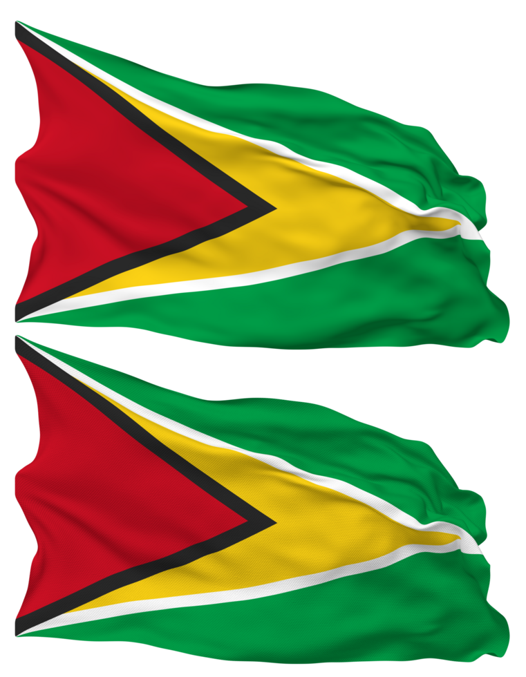 Guyana Flag Waves Isolated in Plain and Bump Texture, with Transparent Background, 3D Rendering png