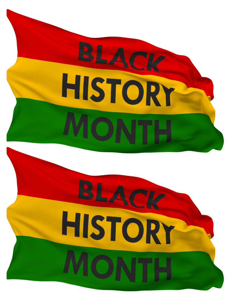 zwart geschiedenis maand vlag golven geïsoleerd in duidelijk en buil textuur, met transparant achtergrond, 3d renderen png