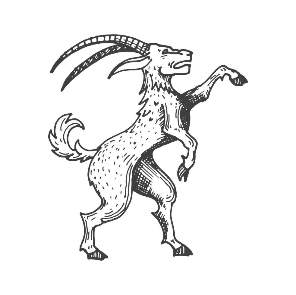 cabra medieval heráldico animal bosquejo símbolo vector