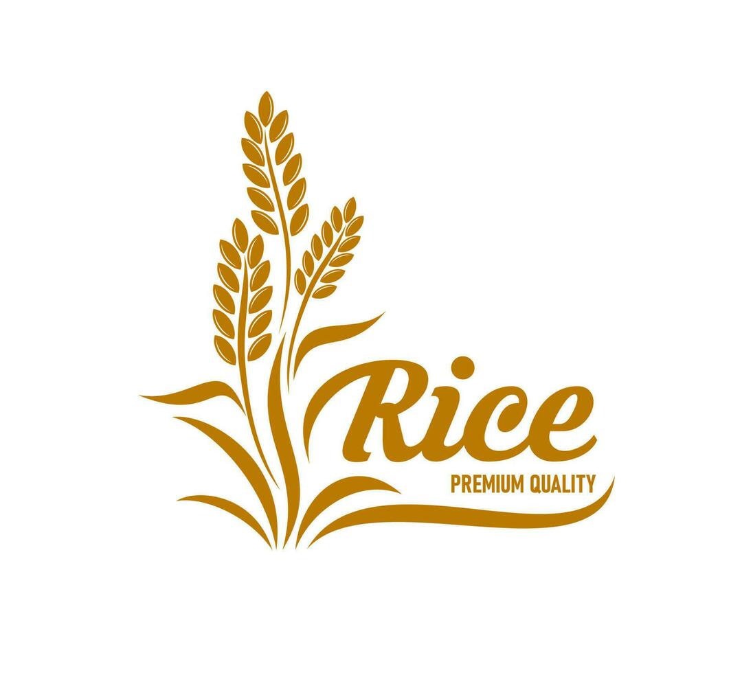 Rice icon with cereal plant and grains, farm food vector