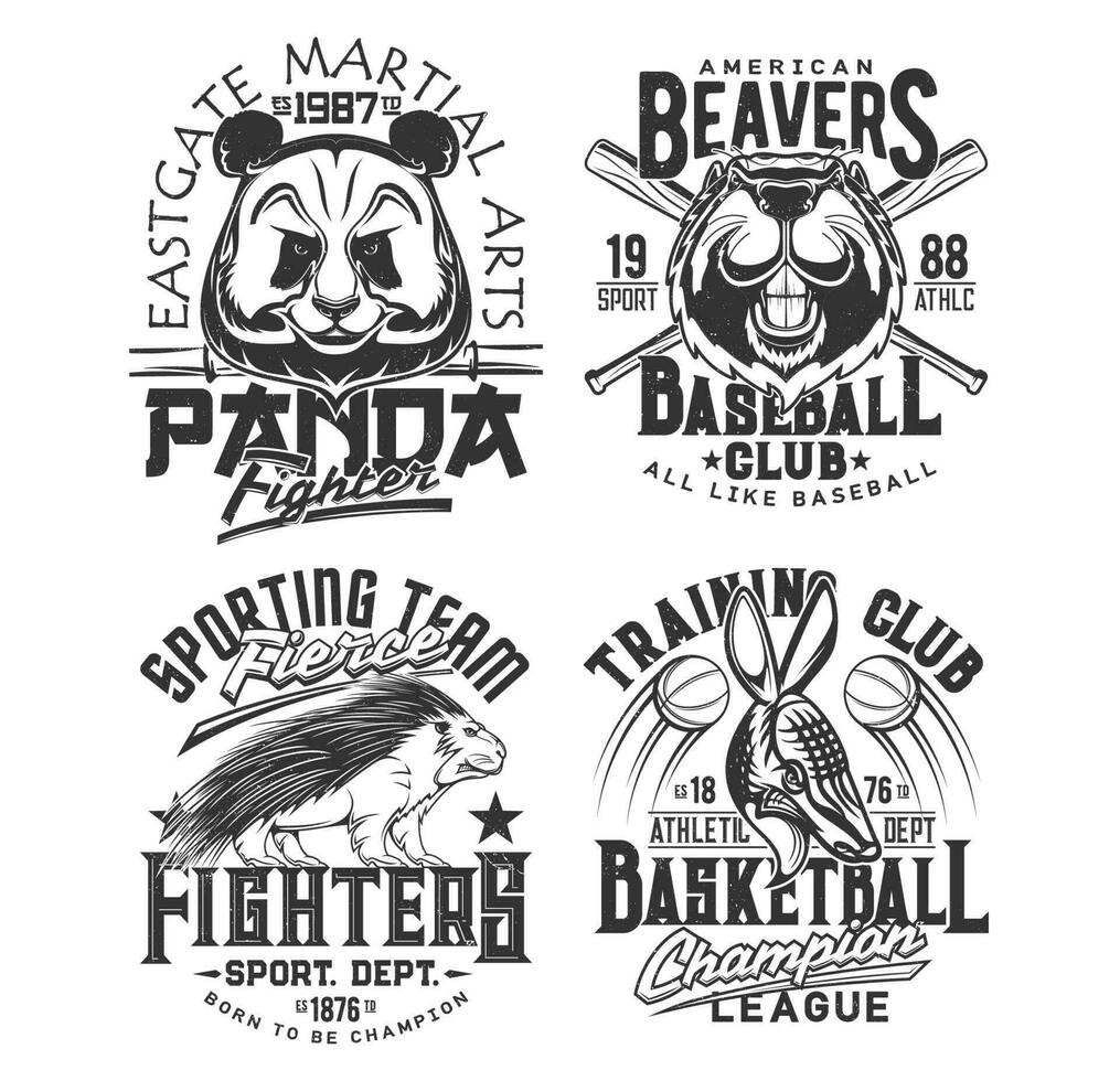 Baseball, basketball team t shirt print sport club vector