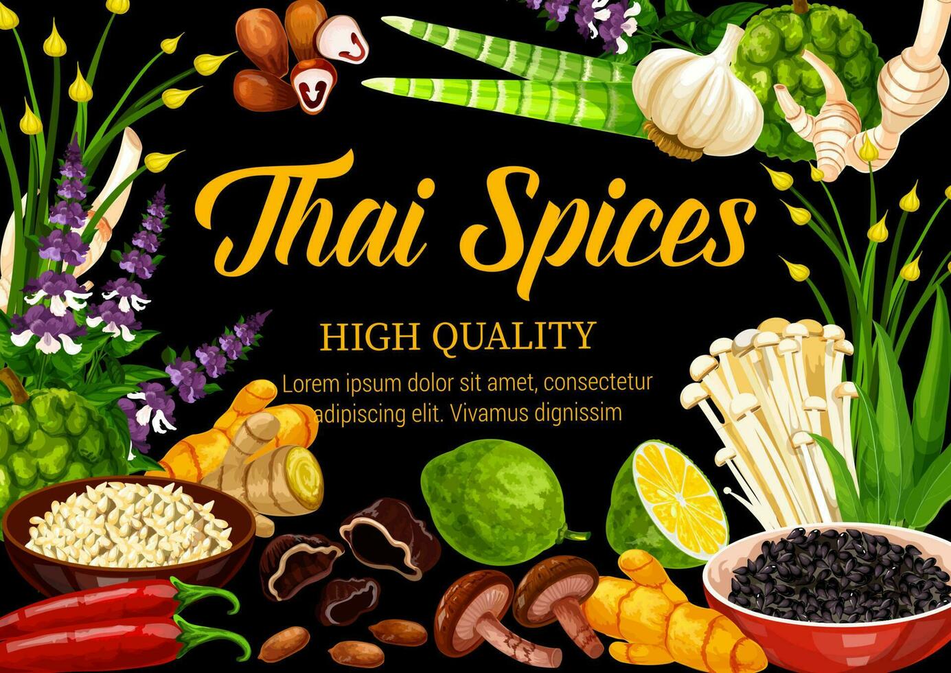Thai herbs, spices and seasonings, food condiments vector