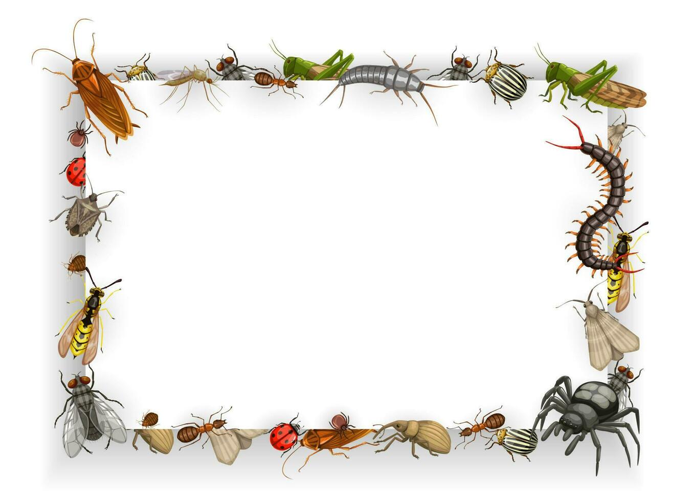 Frame with insects cartoon vector parasites border