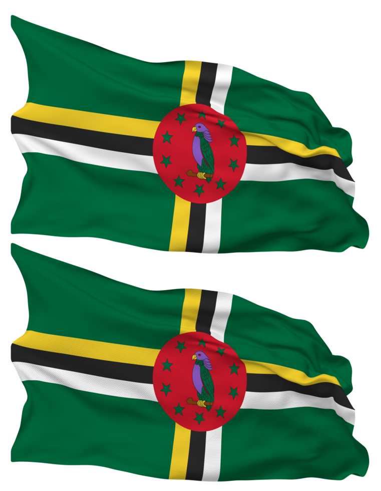 Dominica Flag Waves Isolated in Plain and Bump Texture, with Transparent Background, 3D Rendering png