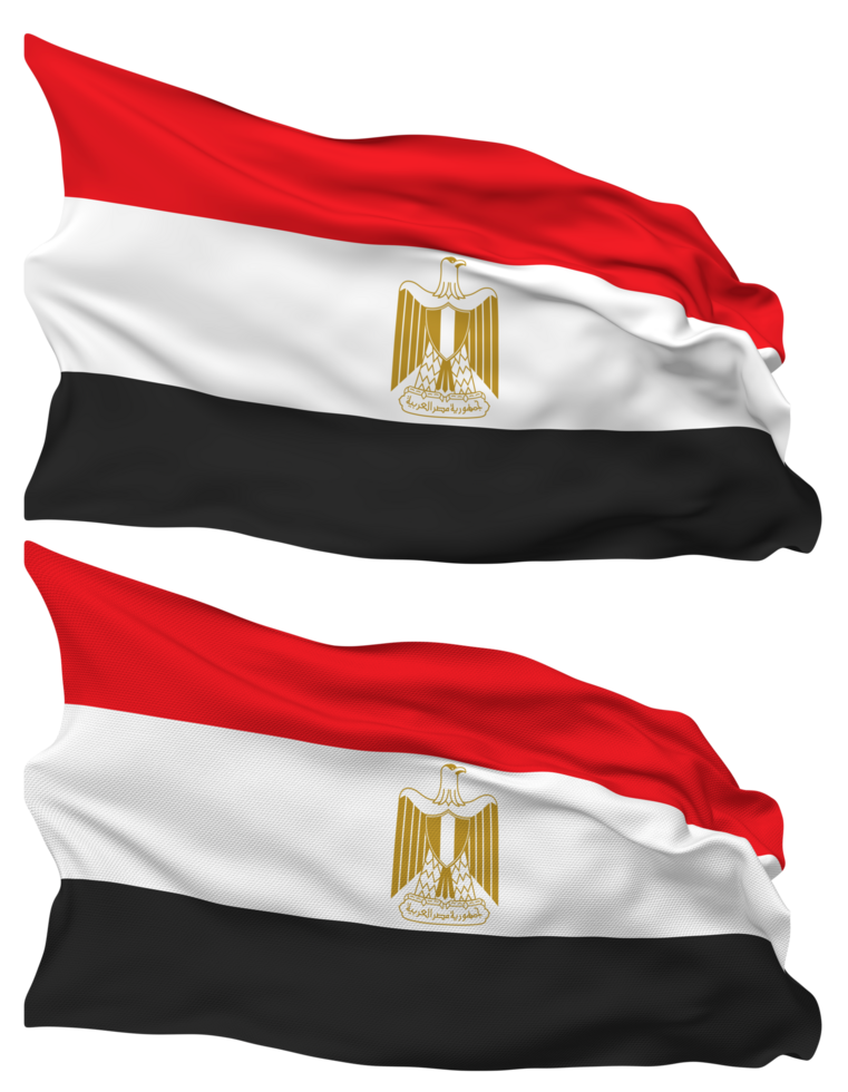 Egypt Flag Waves Isolated in Plain and Bump Texture, with Transparent Background, 3D Rendering png