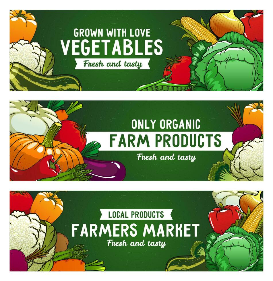 Vegetables vector banners, farm food, raw veggies