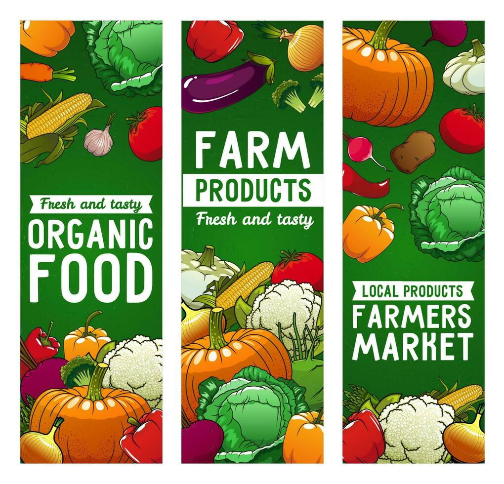 Vegetables vector banners, farm food, eco veggies