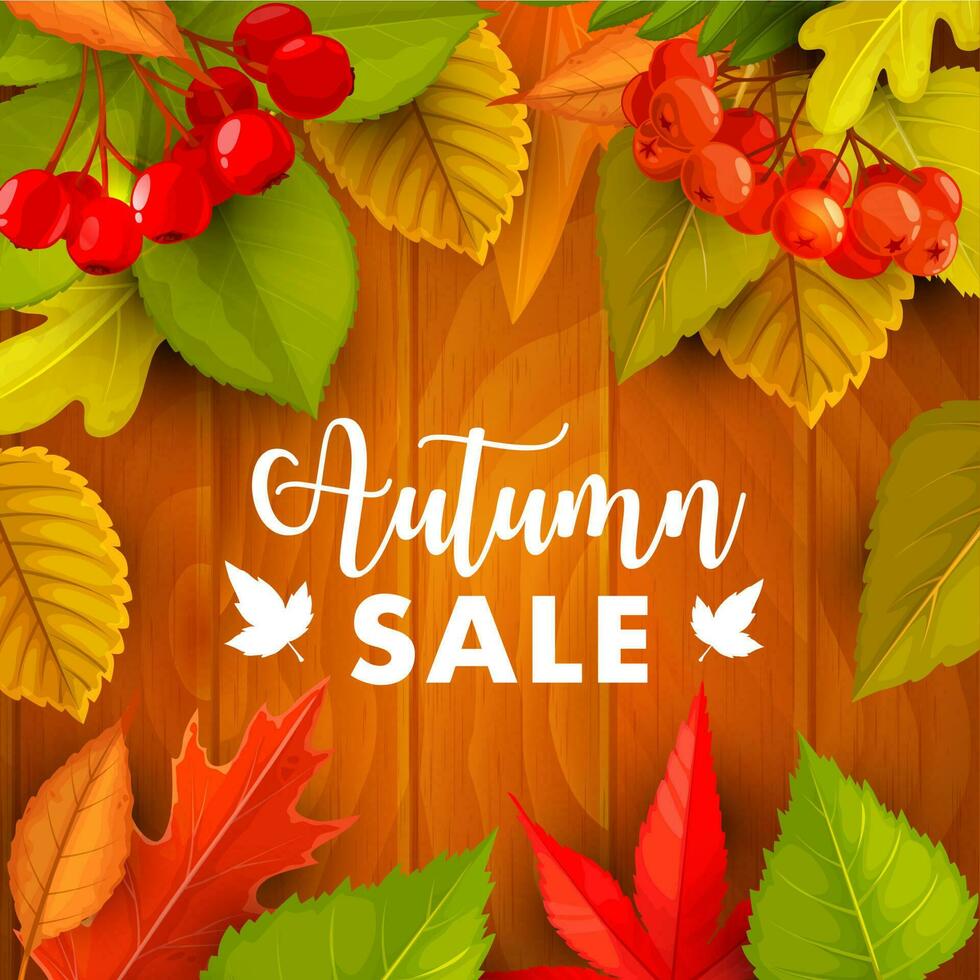 Autumn sale vector promo with fall leaves, berries
