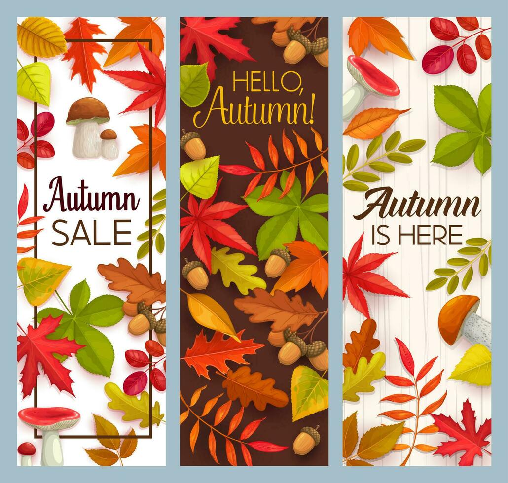 Hola otoño y otoño estacional rebaja vector pancartas