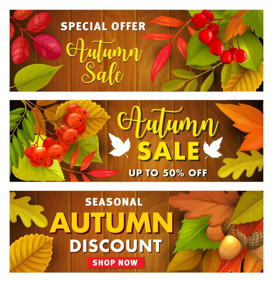 Autumn sale vector promo banners with fall leaves