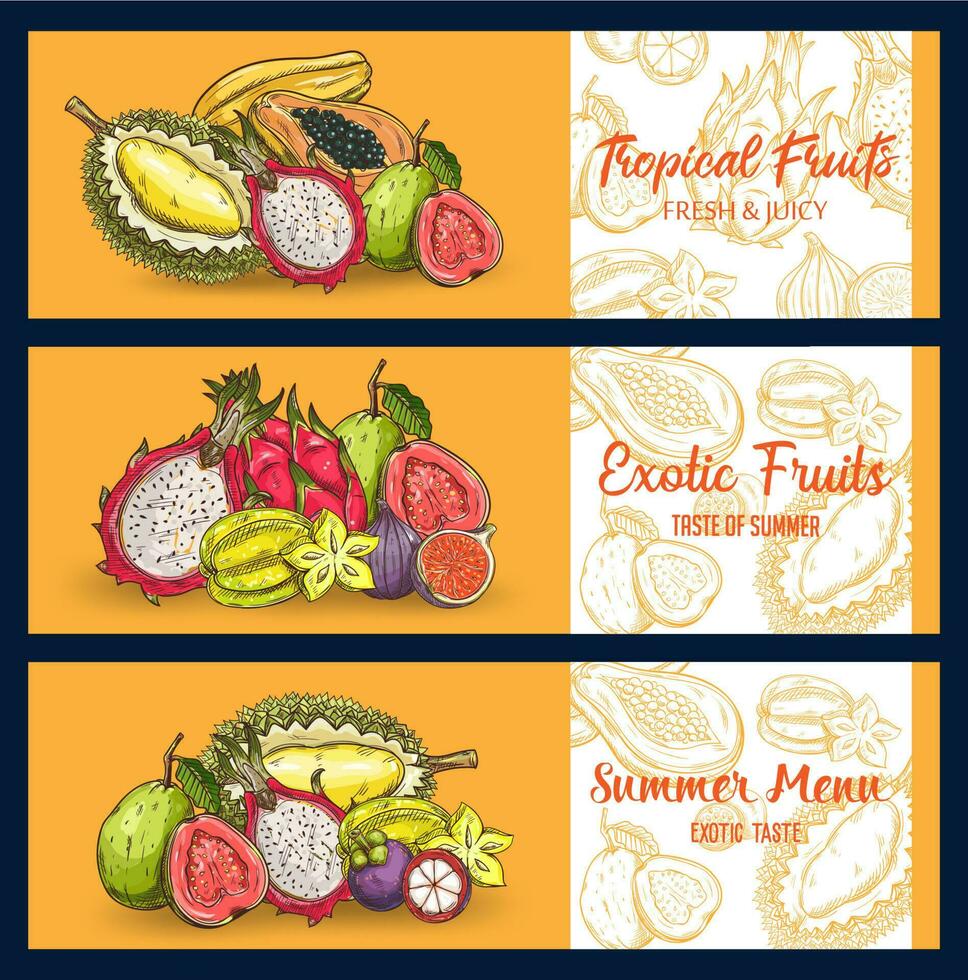 Tropical fruits vector chalk sketch banners set