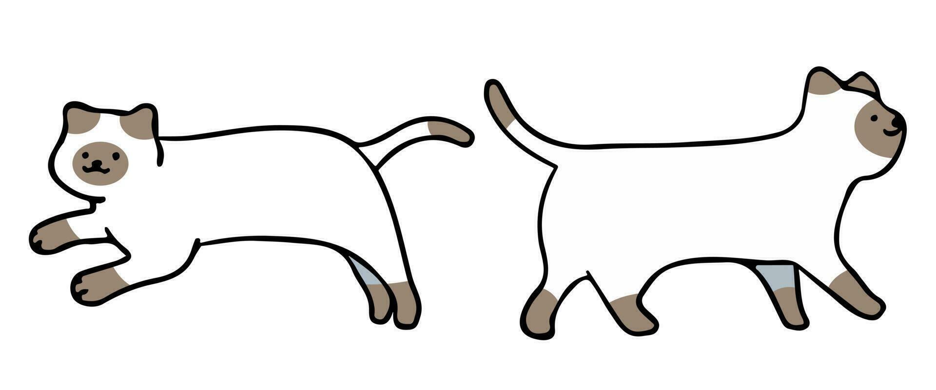 A cat in an outline style character design and a flat design style minimal vector illustration.