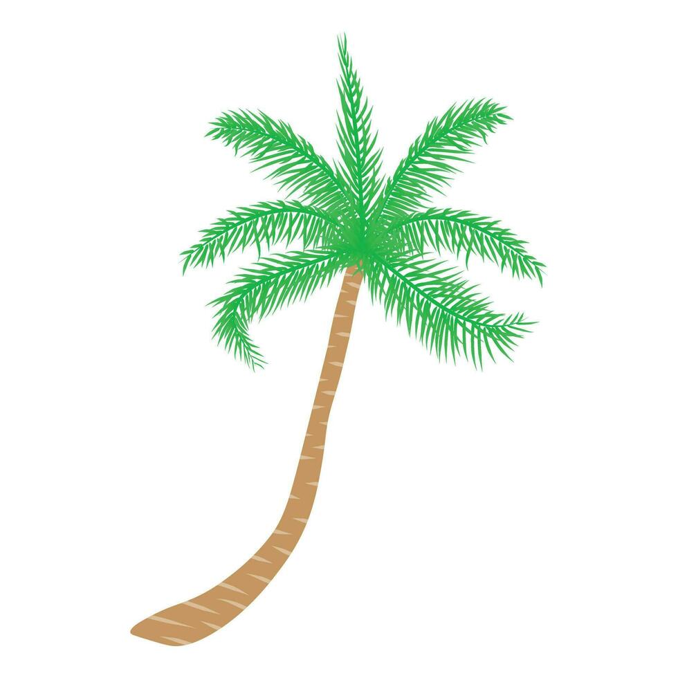 Tropical palm tree. Vector illustration