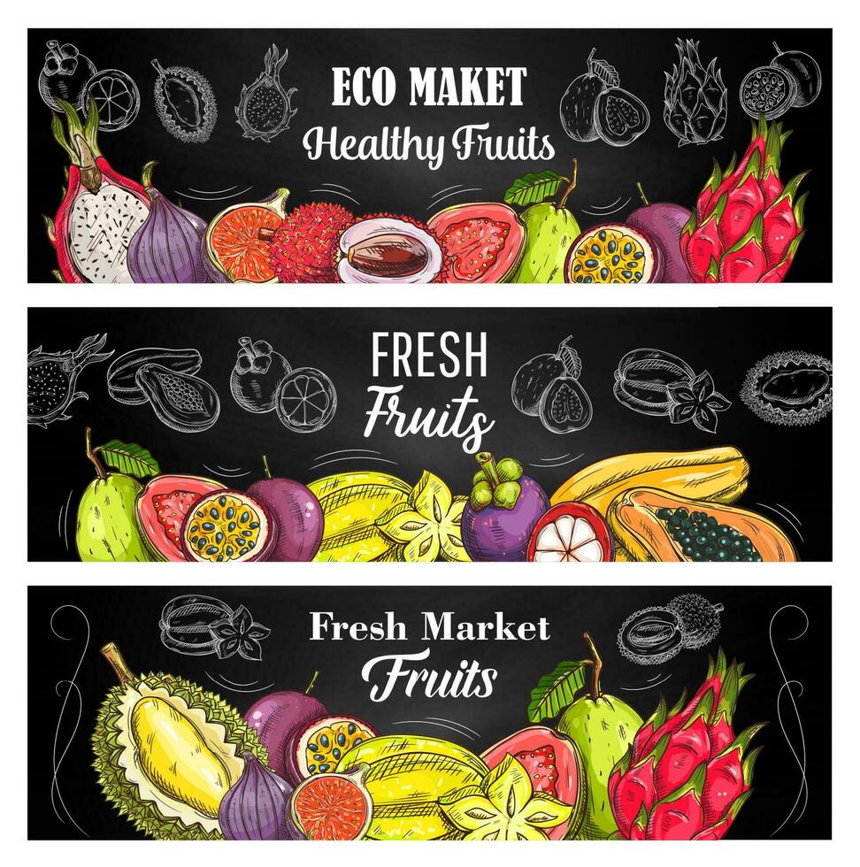 Exotic fruit sketch vector banners eco market food