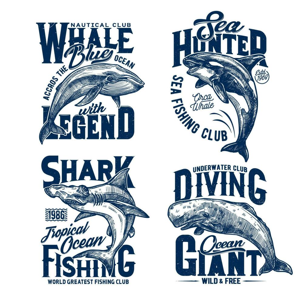 camiseta huellas dactilares con tiburón, asesino y azul ballenas vector