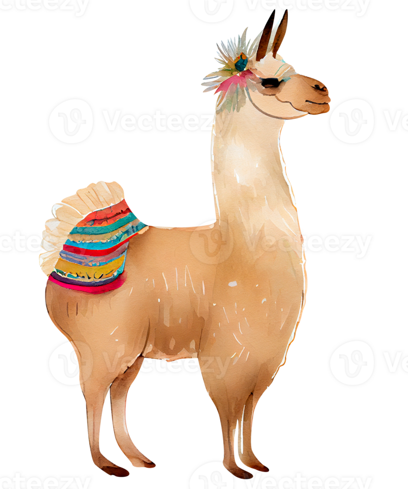 Cute Llama Watercolor Clipart png