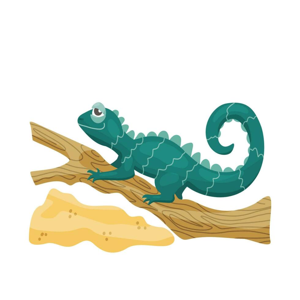 Iguana on the tree branch. Lizard Vector cartoon illustration.