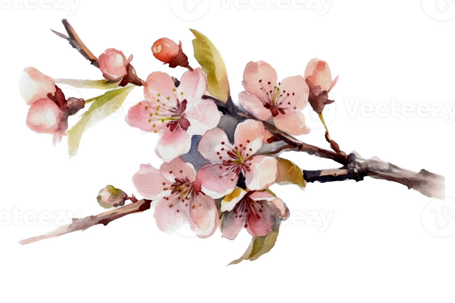 schön Blume mit Blatt Aquarell ai generieren png