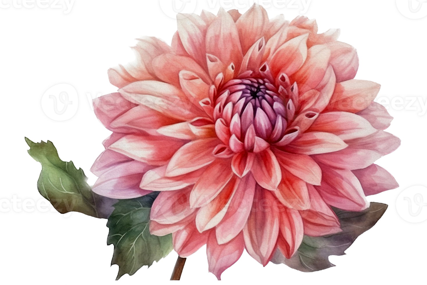 Beautiful flower with leaf watercolor AI Generate png