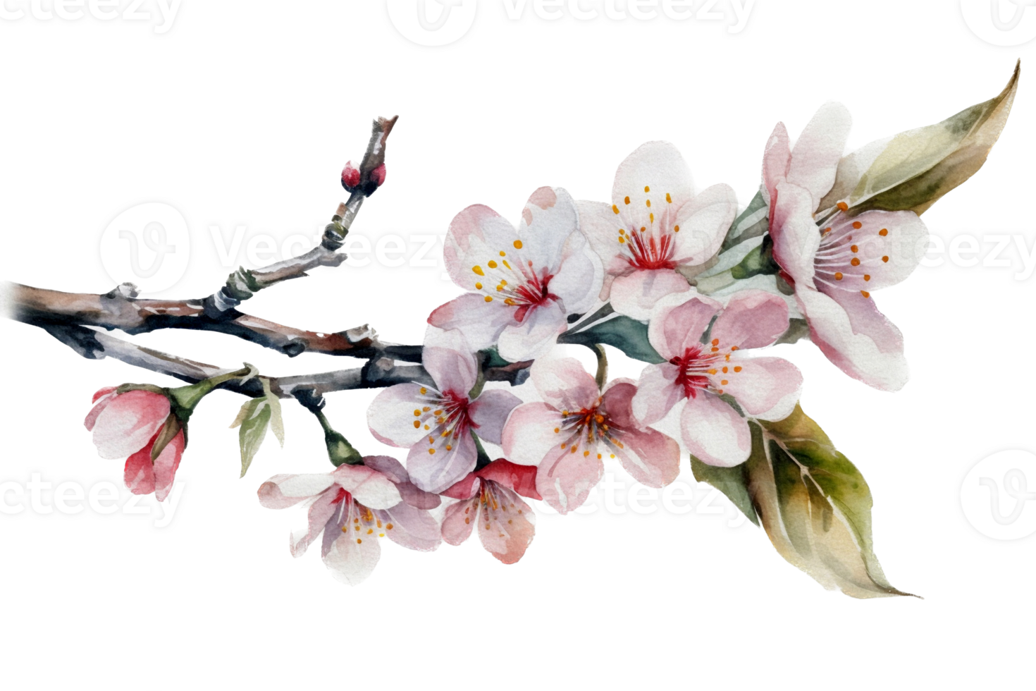 Beautiful flower with leaf watercolor AI Generate png