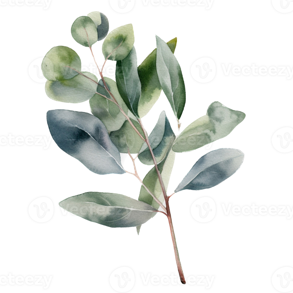 Green leaf watercolor ai generate png