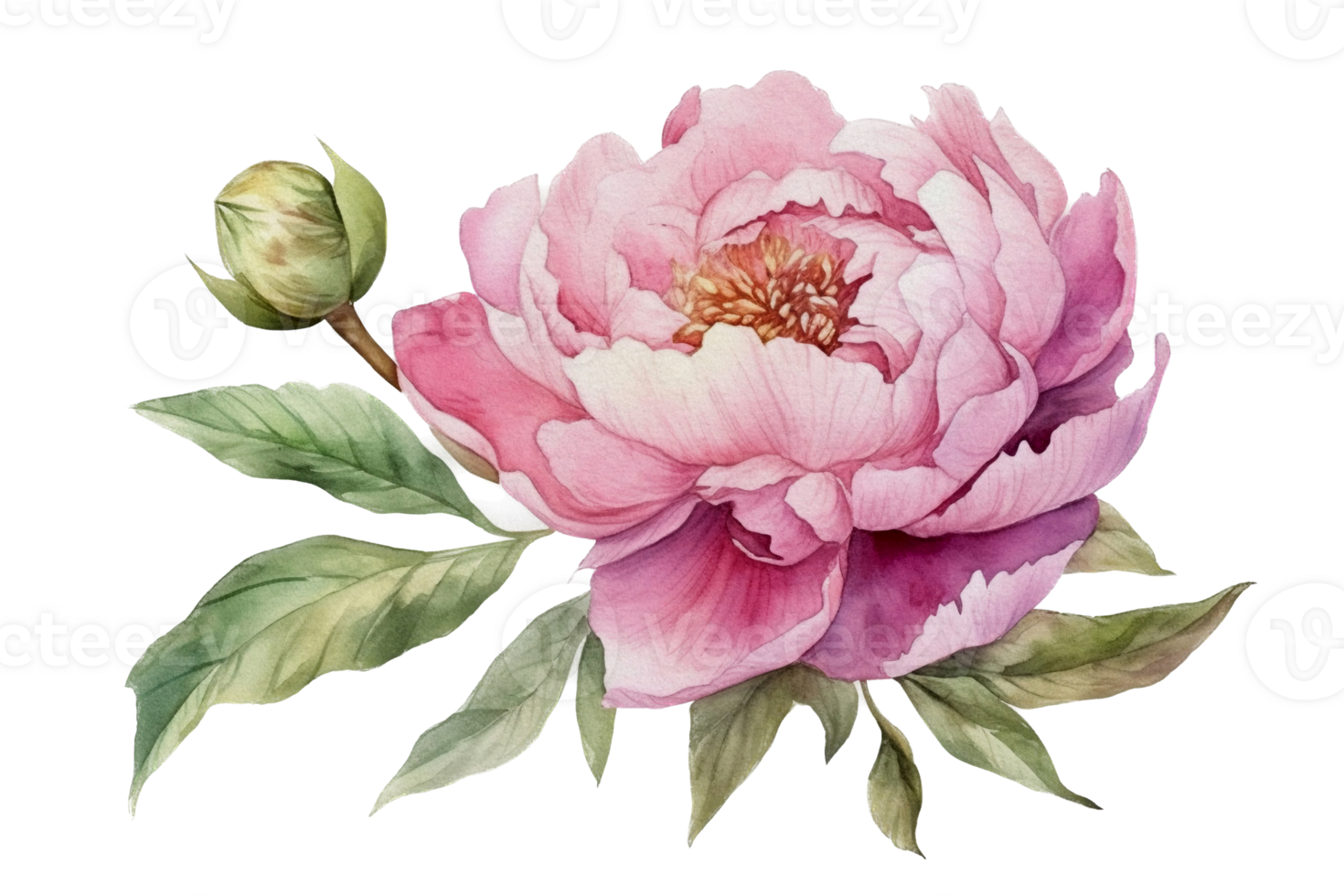 Beautiful flower with leaf watercolor AI Generate png