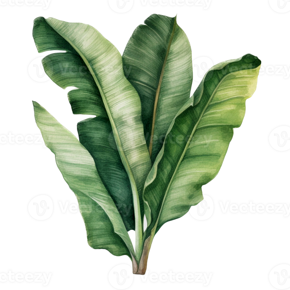 Tropical leaf watercolor ai generate png