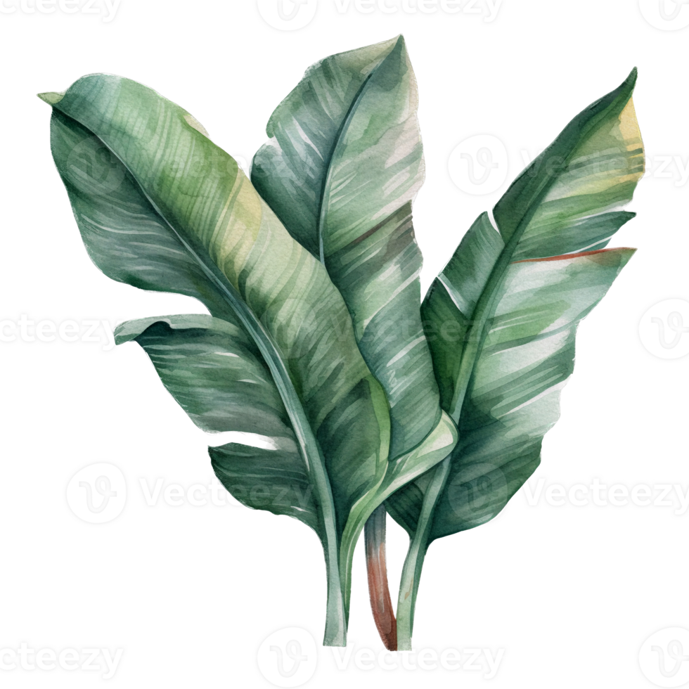 Tropical leaf watercolor ai generate png