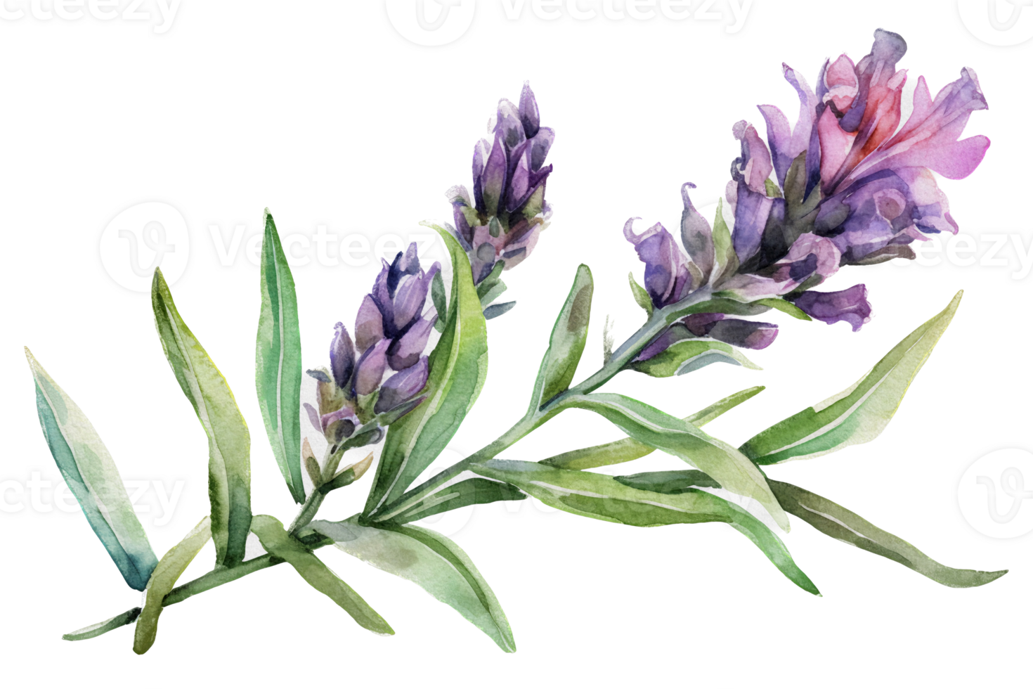 Flower with leaf watercolor AI Generate png