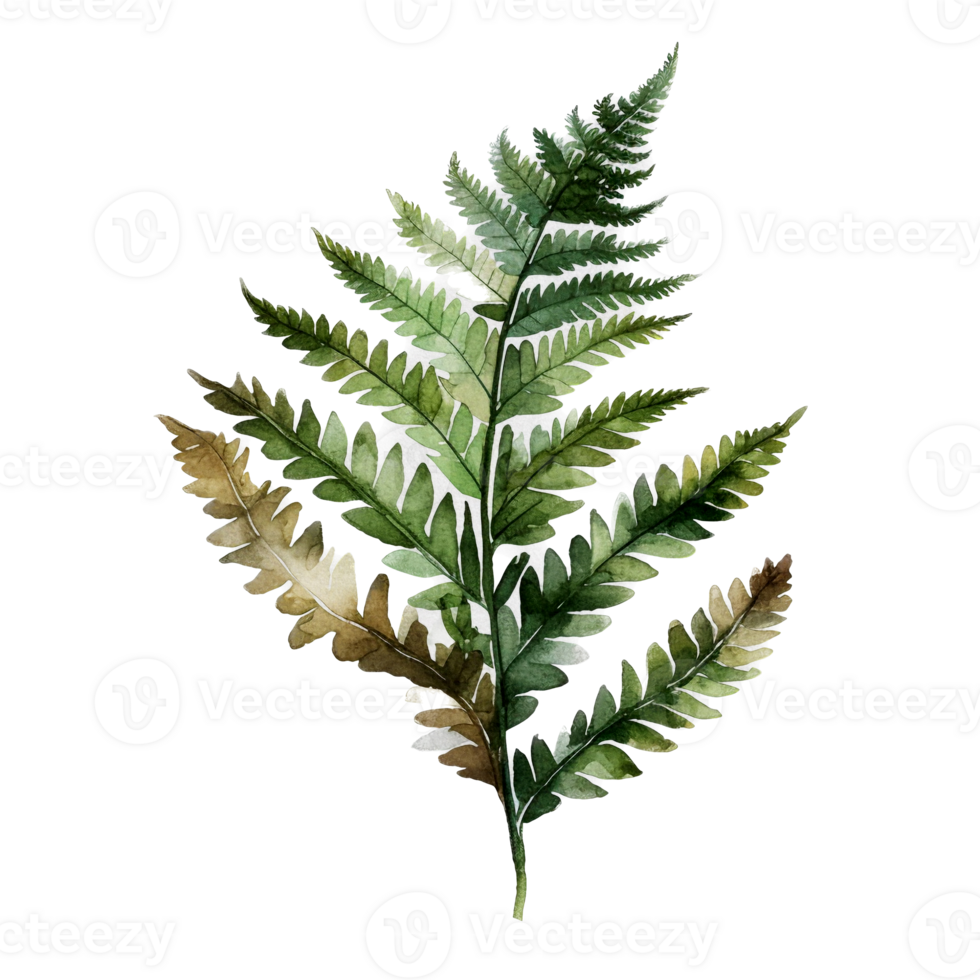Tropical leaf watercolor ai generate png