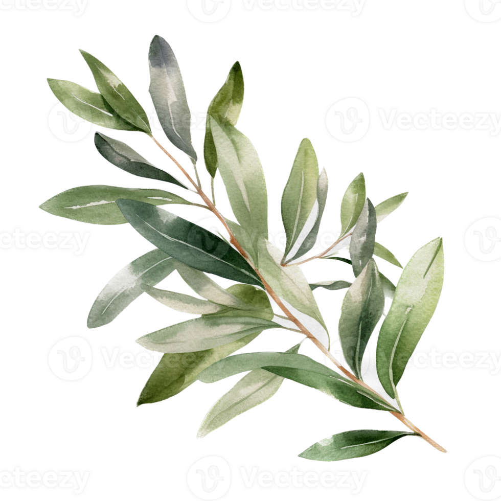 Green leaf watercolor ai generate png