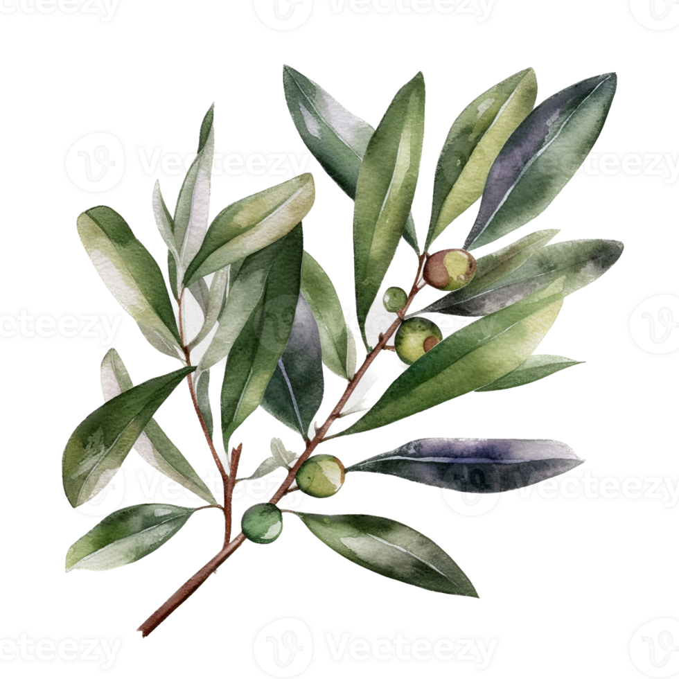Green leaf watercolor ai generate png
