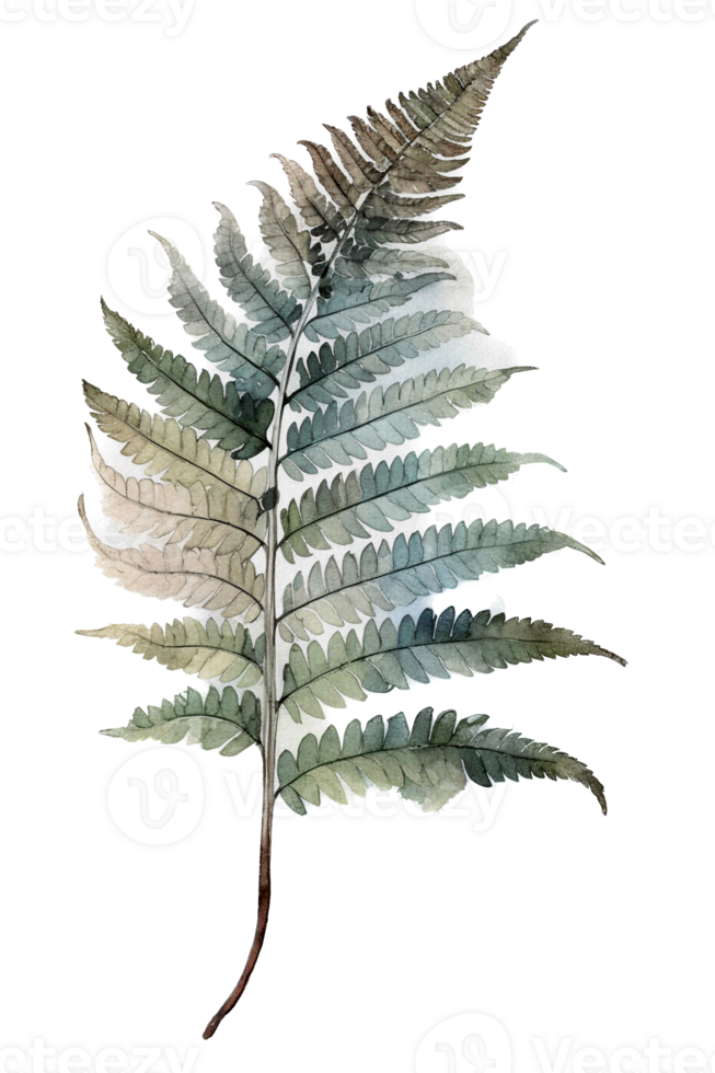 Tropical leaf watercolor ai generate png
