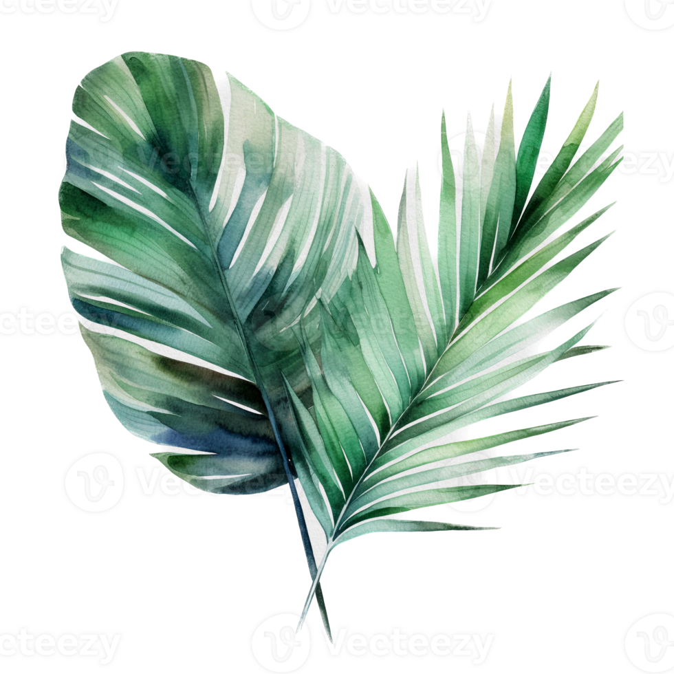 Tropical leaf watercolor ai generate png