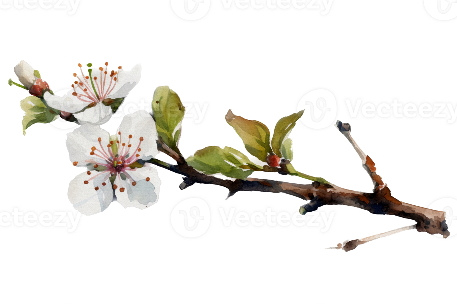 Beautiful flower with leaf watercolor AI Generate png